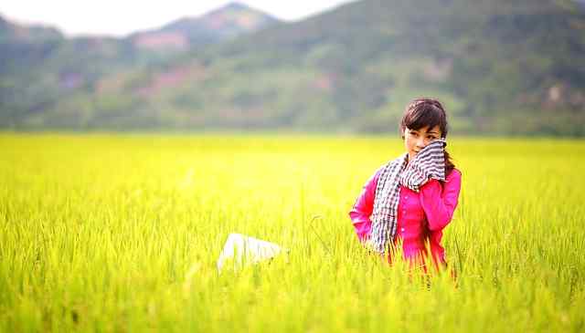 Farmer's Day