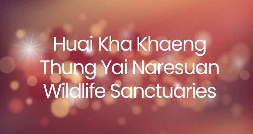 Huai Kha Khaeng Thung Yai Naresuan Wildlife Sanctuaries World Heritage Day