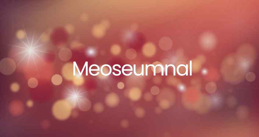 Meoseumnal